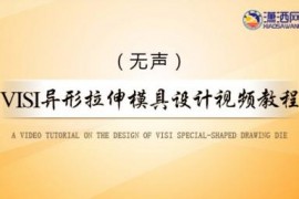 VISI异形拉伸模具设计视频教程