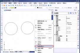 在ZWCAD中怎么快速的选择直径一样的圆（图文教程）