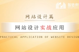 网站设计实战应用教程
