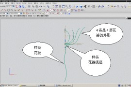 UG6.0制作玫瑰花教程（图文教程）