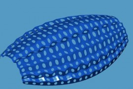 3DMAX打造景观小品(图文教程)