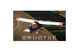 飞机的构造-飞机的机翼-机翼的平面形状分类(图文教程)