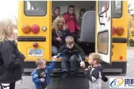 美国的校车为何安全系数较高