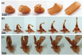 科学家首次用SLA 3D打印技术实现4D打印（图文教程）