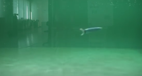 3D打印仿章鱼水下机器人（图文教程）,3D打印仿章鱼水下机器人,打印,第1张