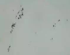 轮齿折断的原因(图文教程),轮齿折断的原因,要求,这个,如图,第4张