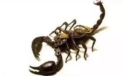 废旧机械零部件，玩好了就是工艺品，有些还很恐怖！(图文教程) ...,废旧机械零部件，玩好了就是工艺品，有些还很恐怖！,工艺,第13张