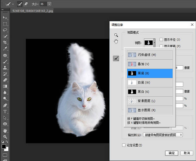 PS利用快速蒙版及调整边缘快速抠出白猫教程(图文教程),PS利用快速蒙版及调整边缘快速抠出白猫教程,选择,这个,半径,第12张