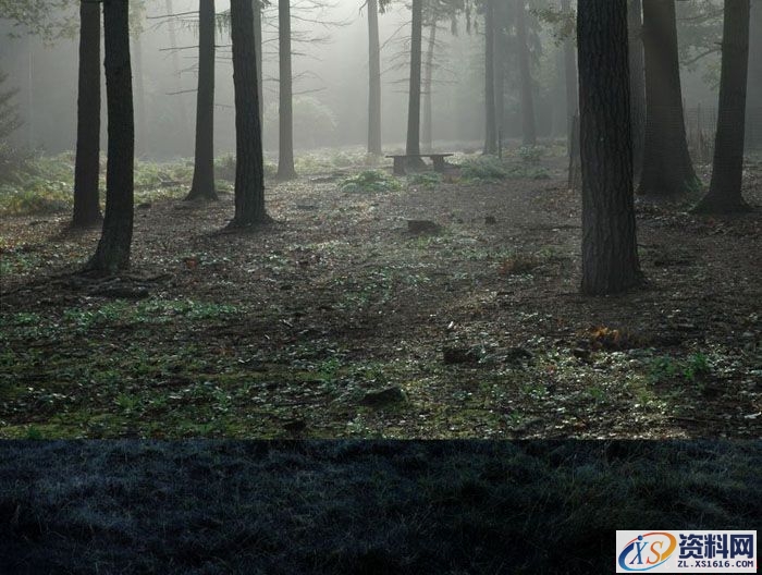 PS合成小孩走入奇幻森林场景教程(图文教程),PS合成小孩走入奇幻森林场景教程,设计,一般,选择,第13张