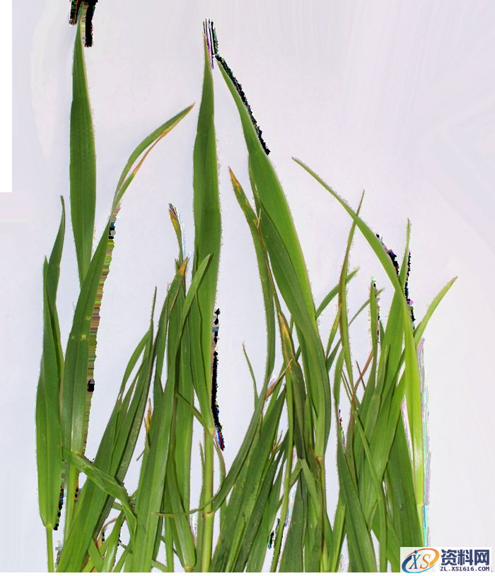 PS合成小孩走入奇幻森林场景教程(图文教程),PS合成小孩走入奇幻森林场景教程,设计,一般,选择,第55张