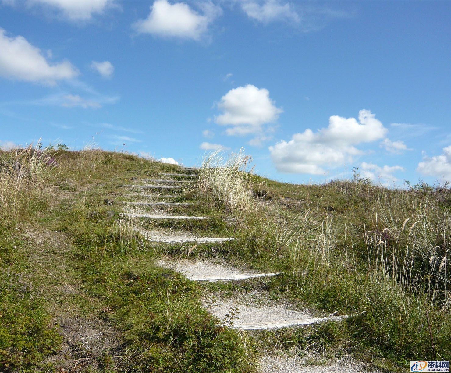 PS合成小孩走入奇幻森林场景教程(图文教程),PS合成小孩走入奇幻森林场景教程,设计,一般,选择,第42张