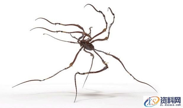 3dMax制作不可思议的湿地场景(图文教程),3dMax制作不可思议的湿地场景,选择,文件,这个,第8张