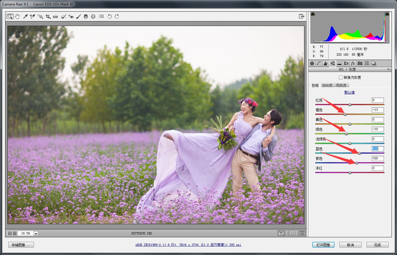 PS婚片后期——外景花海薰衣草(图文教程),PS婚片后期——外景花海薰衣草,用于,这个,什么,第4张