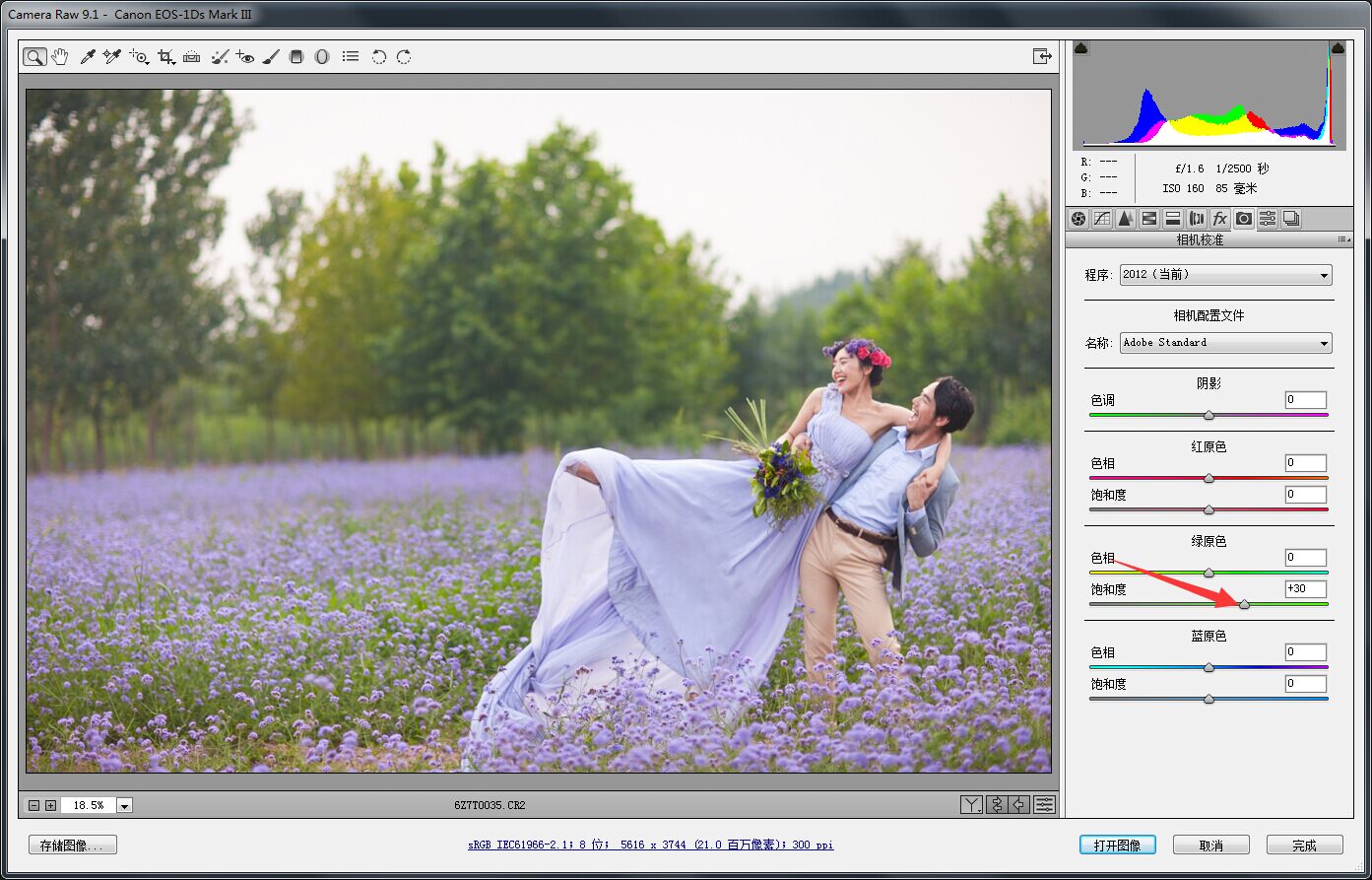 PS婚片后期——外景花海薰衣草(图文教程),PS婚片后期——外景花海薰衣草,用于,这个,什么,第3张