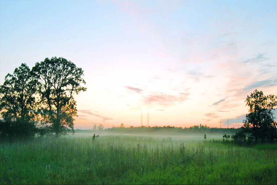 PS婚片后期——外景花海薰衣草(图文教程),PS婚片后期——外景花海薰衣草,用于,这个,什么,第13张