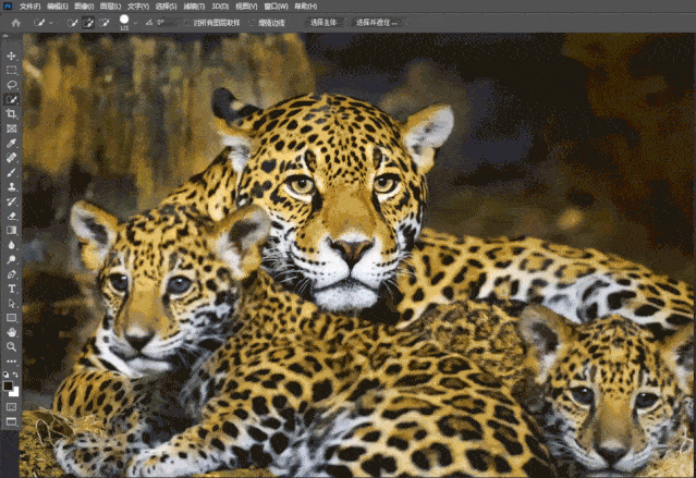 Photoshop：智能内容选区工具横向比较,设计,产品,模具,第5张
