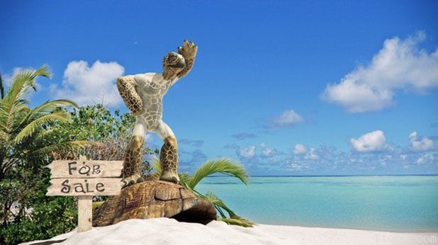 3dMax制作幽默海龟(图文教程),3dMax制作幽默海龟,设计,一般,这个,第1张