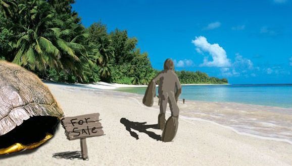 3dMax制作幽默海龟(图文教程),3dMax制作幽默海龟,设计,一般,这个,第4张