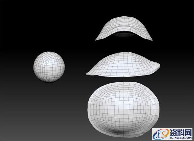 3dMax制作幽默海龟(图文教程),3dMax制作幽默海龟,设计,一般,这个,第7张