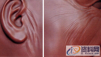 ZBrush细致皱纹该如何表现？,ZBrush皱纹雕刻,设计,产品,模具,第3张